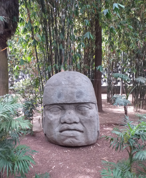 16 дней на разграбление Мексики. И ограбление по-мексикански как алаверды. 2019, февраль