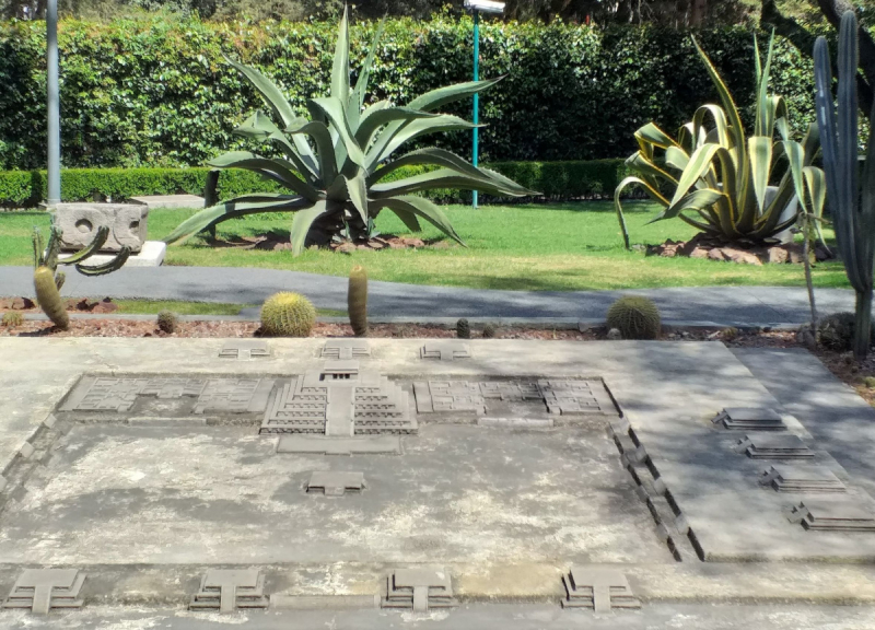 16 дней на разграбление Мексики. И ограбление по-мексикански как алаверды. 2019, февраль