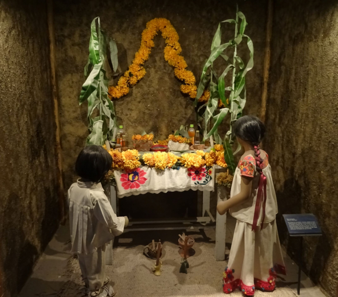 16 дней на разграбление Мексики. И ограбление по-мексикански как алаверды. 2019, февраль