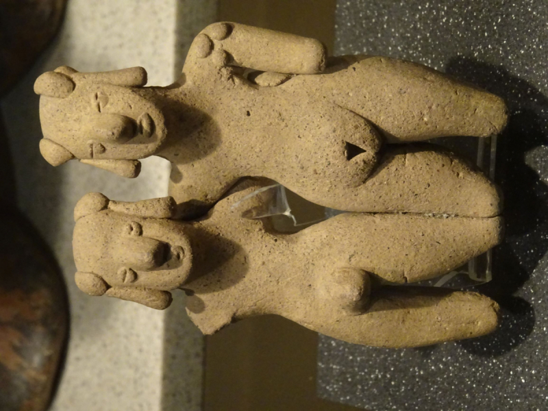 16 дней на разграбление Мексики. И ограбление по-мексикански как алаверды. 2019, февраль