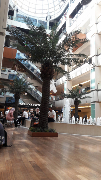 Первый раз в Стамбул!