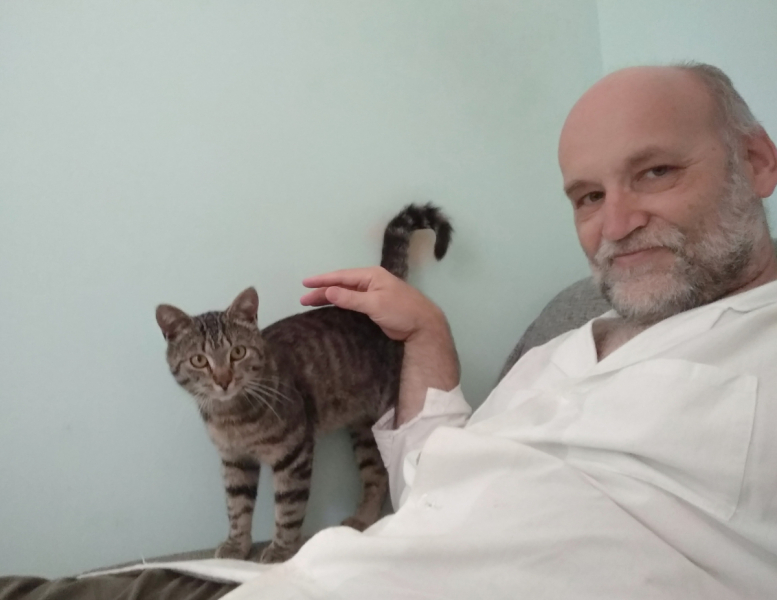 Кошки в нашей жизни. Кошки и все, что с ними связано.