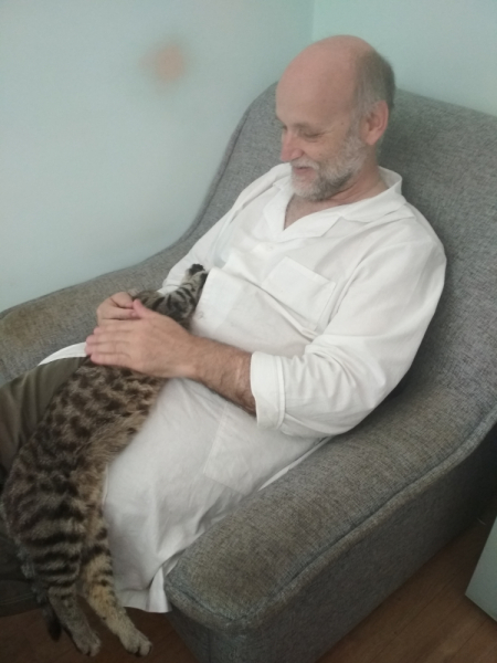 Кошки в нашей жизни. Кошки и все, что с ними связано.