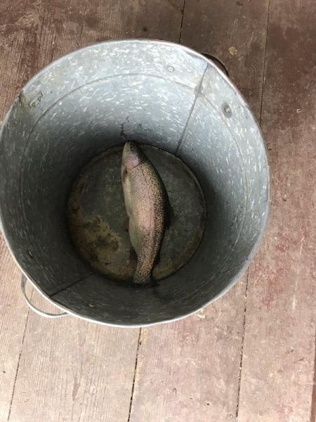 Домбай, Эльбрус, Кавказские минеральные воды на машине в мае 2019 года