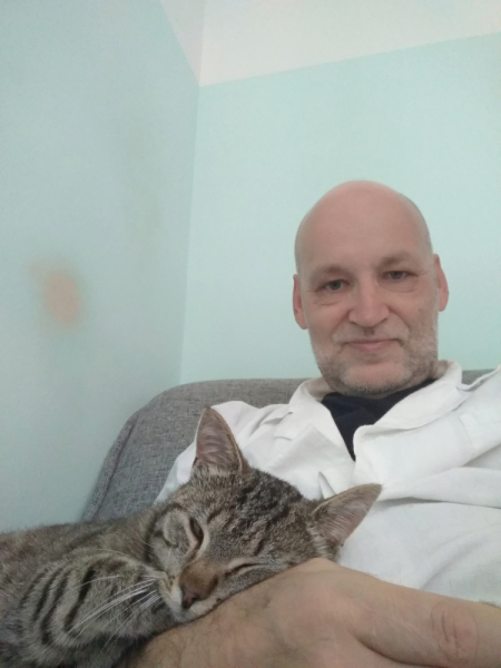 Кошки в нашей жизни. Кошки и все, что с ними связано.