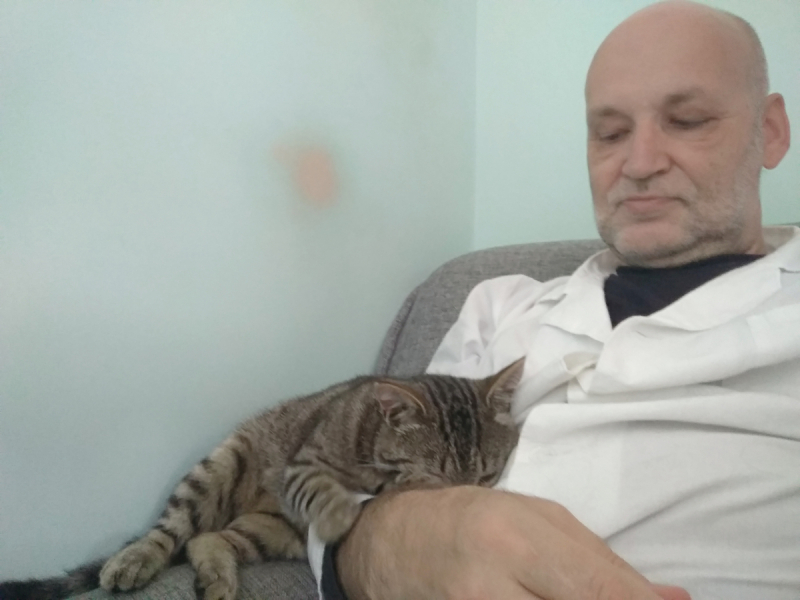 Кошки в нашей жизни. Кошки и все, что с ними связано.