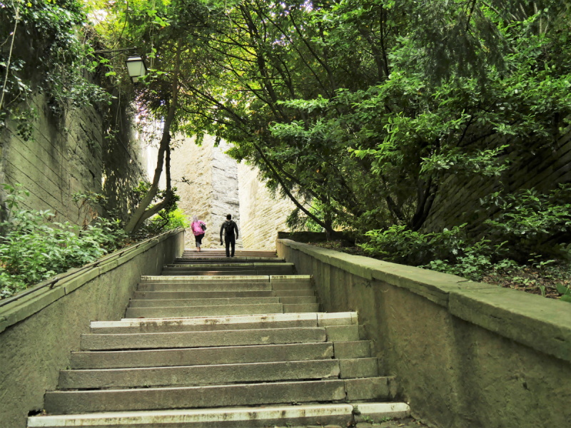 Боденское озеро / Bodensee - лучше сейчас, чем никогда.