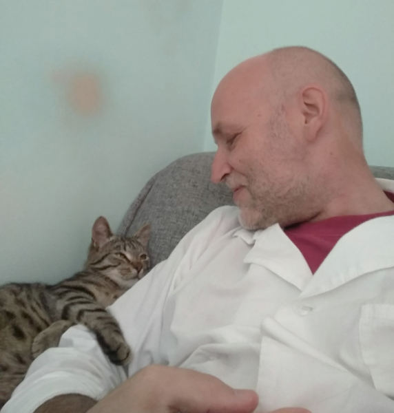 Кошки в нашей жизни. Кошки и все, что с ними связано.