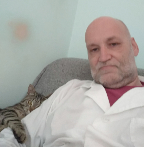 Кошки в нашей жизни. Кошки и все, что с ними связано.