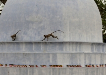 Сам себе турагент