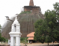 Сам себе турагент