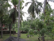 Сам себе турагент