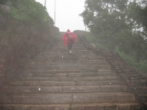 Сам себе турагент