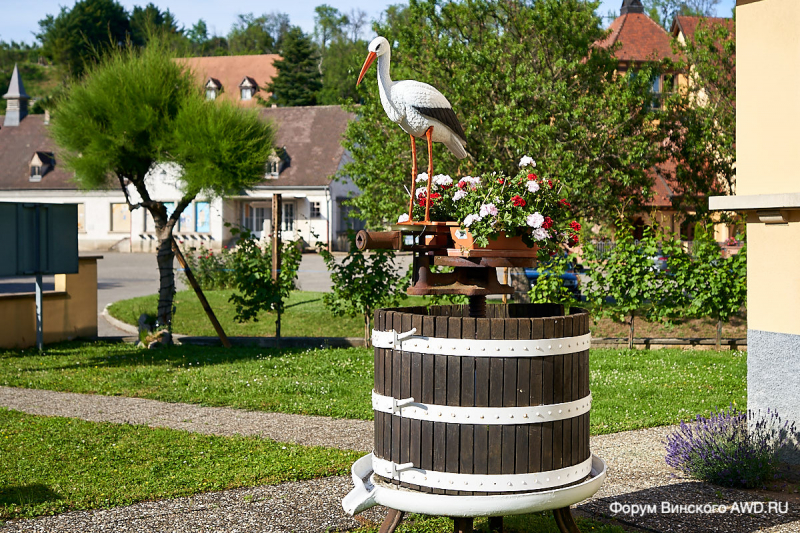 Риквир Франция