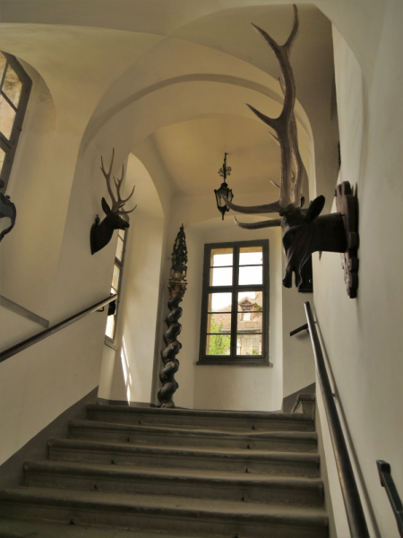 Боденское озеро / Bodensee - лучше сейчас, чем никогда.