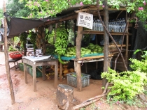 Сам себе турагент