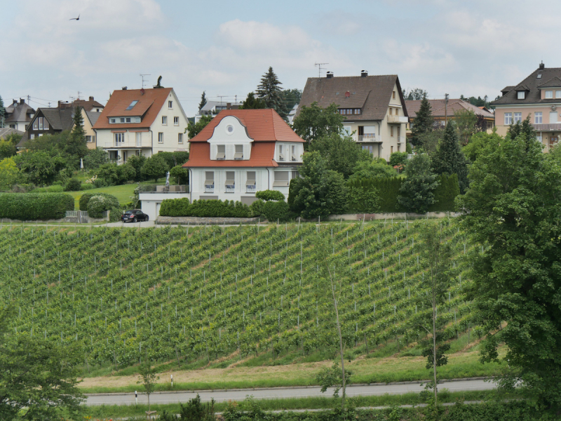 Боденское озеро / Bodensee - лучше сейчас, чем никогда.