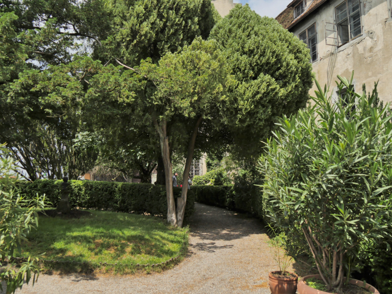 Боденское озеро / Bodensee - лучше сейчас, чем никогда.