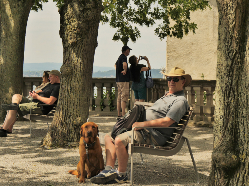 Боденское озеро / Bodensee - лучше сейчас, чем никогда.