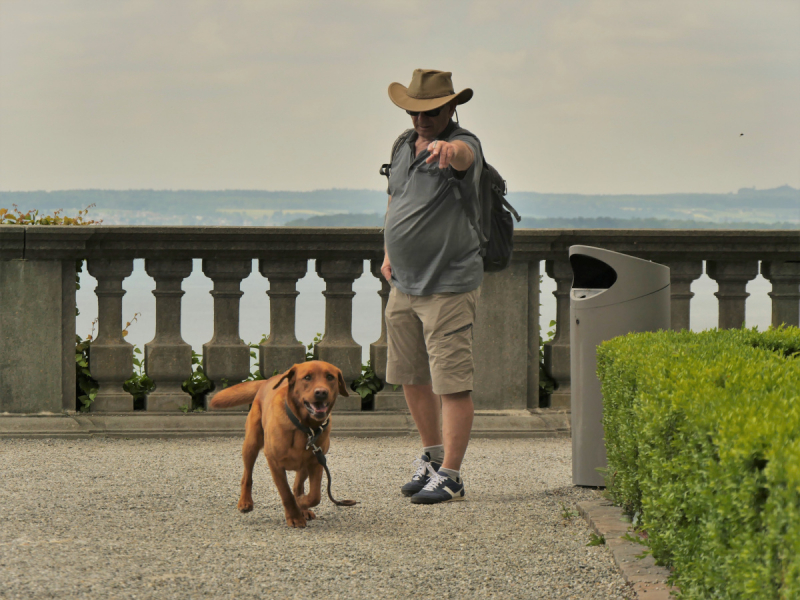 Боденское озеро / Bodensee - лучше сейчас, чем никогда.