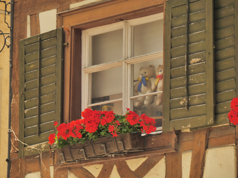 Боденское озеро / Bodensee - лучше сейчас, чем никогда.