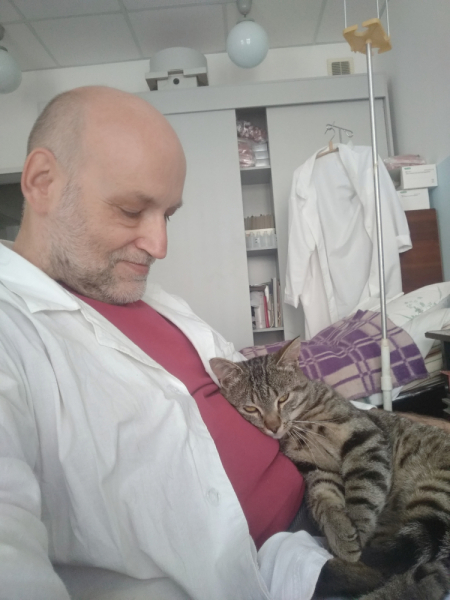 Кошки в нашей жизни. Кошки и все, что с ними связано.