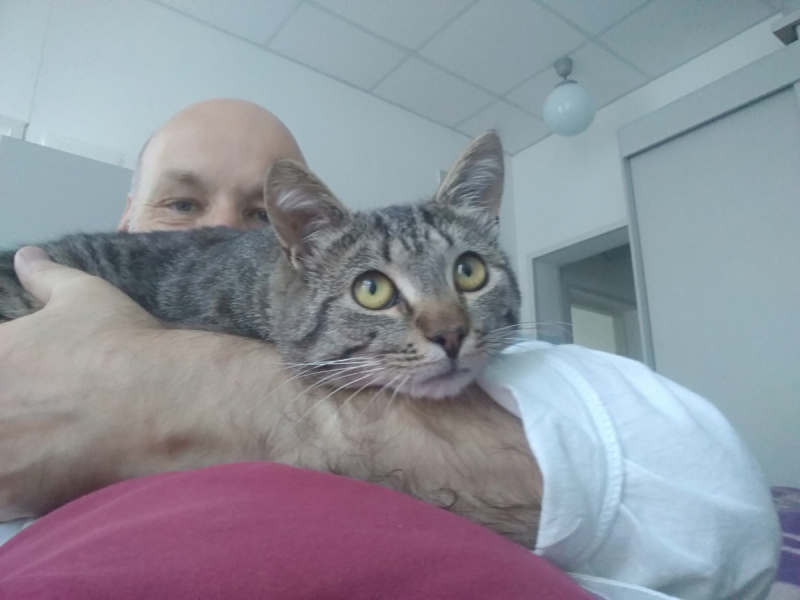 Кошки в нашей жизни. Кошки и все, что с ними связано.