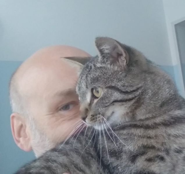 Кошки в нашей жизни. Кошки и все, что с ними связано.