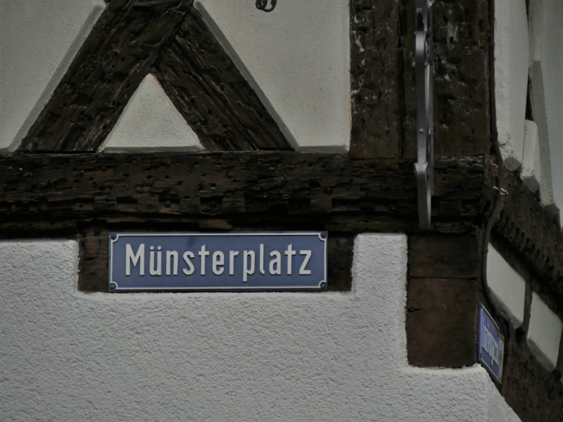 Боденское озеро / Bodensee - лучше сейчас, чем никогда.