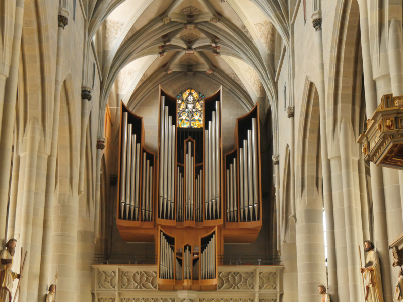 Боденское озеро / Bodensee - лучше сейчас, чем никогда.
