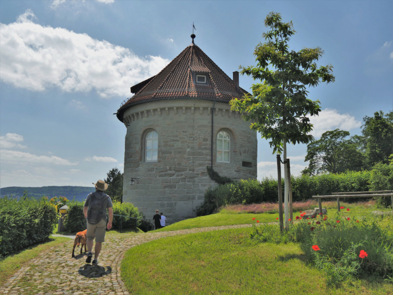 Боденское озеро / Bodensee - лучше сейчас, чем никогда.