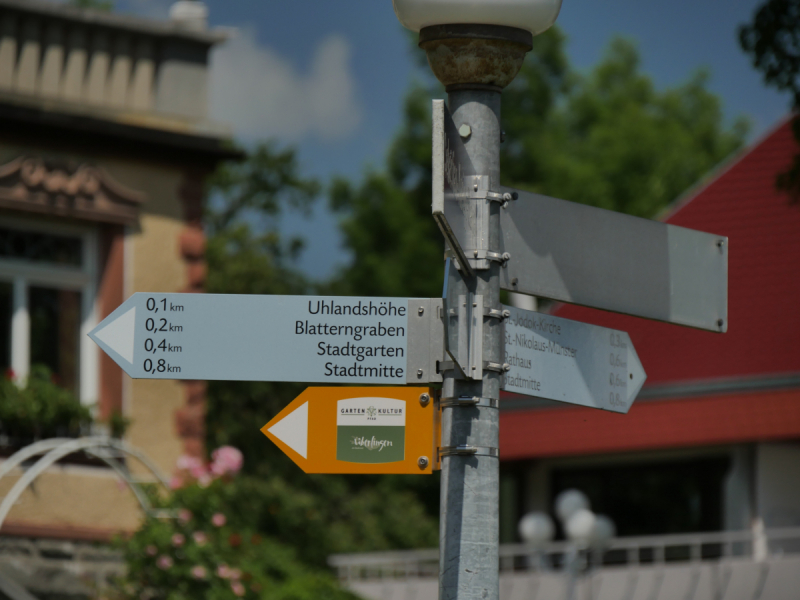 Боденское озеро / Bodensee - лучше сейчас, чем никогда.