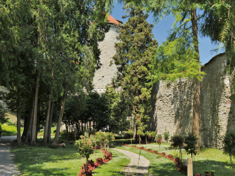 Боденское озеро / Bodensee - лучше сейчас, чем никогда.