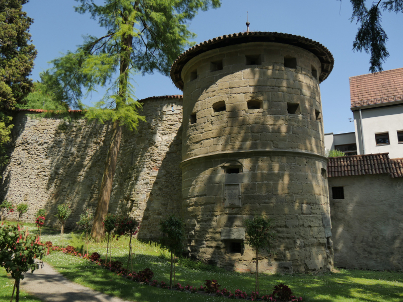 Боденское озеро / Bodensee - лучше сейчас, чем никогда.