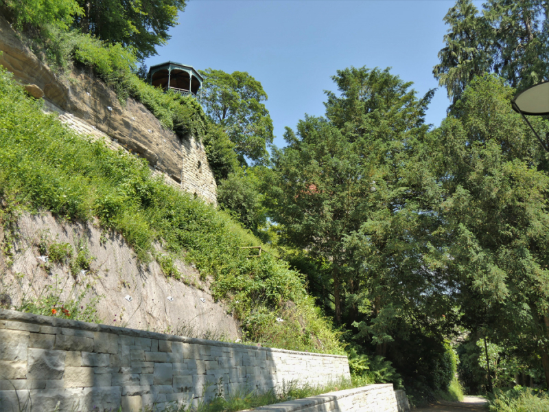 Боденское озеро / Bodensee - лучше сейчас, чем никогда.