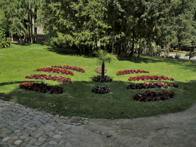 Боденское озеро / Bodensee - лучше сейчас, чем никогда.