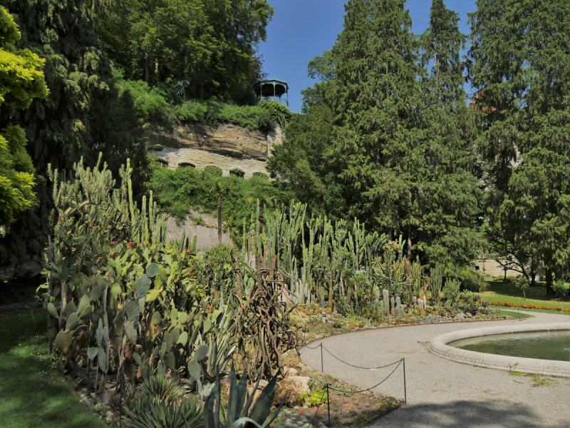 Боденское озеро / Bodensee - лучше сейчас, чем никогда.