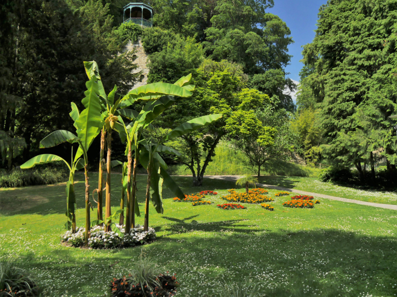 Боденское озеро / Bodensee - лучше сейчас, чем никогда.
