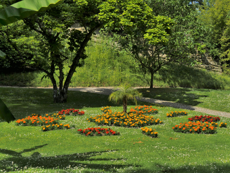 Боденское озеро / Bodensee - лучше сейчас, чем никогда.