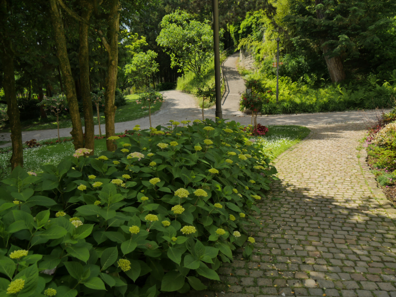 Боденское озеро / Bodensee - лучше сейчас, чем никогда.