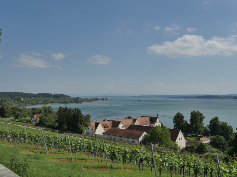 Боденское озеро / Bodensee - лучше сейчас, чем никогда.