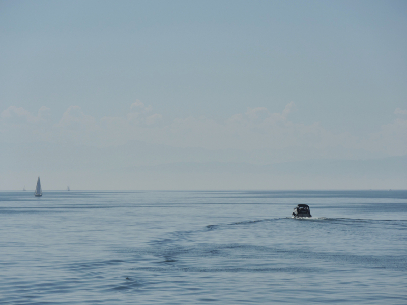 Боденское озеро / Bodensee - лучше сейчас, чем никогда.