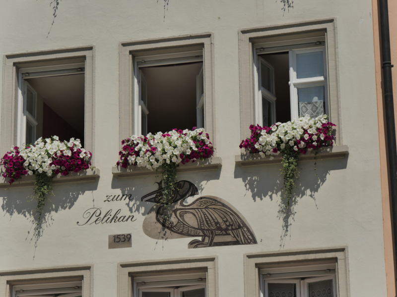 Боденское озеро / Bodensee - лучше сейчас, чем никогда.