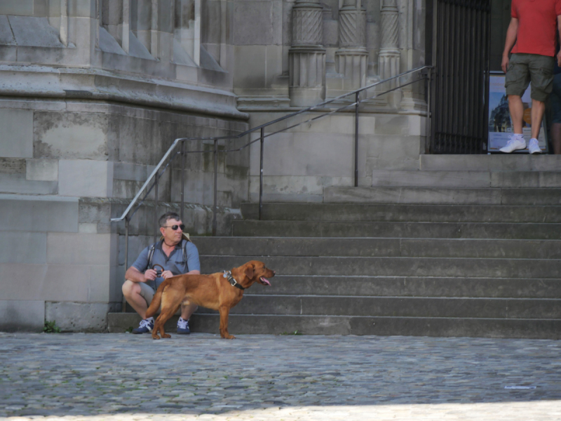 Боденское озеро / Bodensee - лучше сейчас, чем никогда.