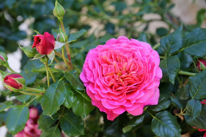 Шлезвиг-Гольштейн на майские или по следам чужих отчетов.