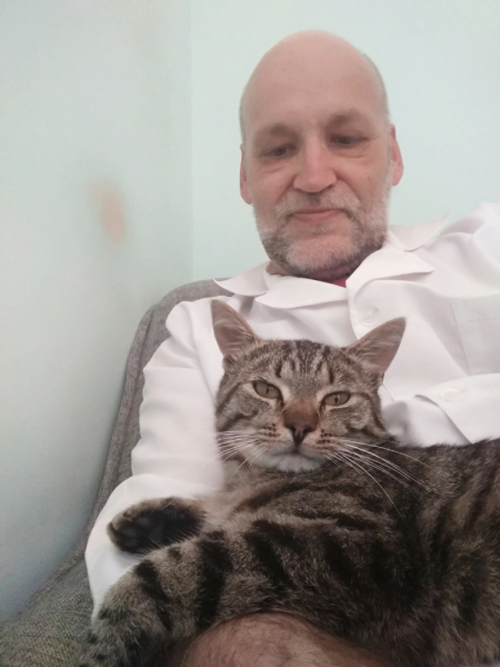 Кошки в нашей жизни. Кошки и все, что с ними связано.