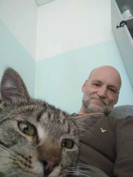 Кошки в нашей жизни. Кошки и все, что с ними связано.