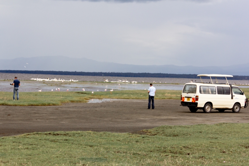 Кения-Танзания (о.Мафия и о.Занзибар) декабрь 2011