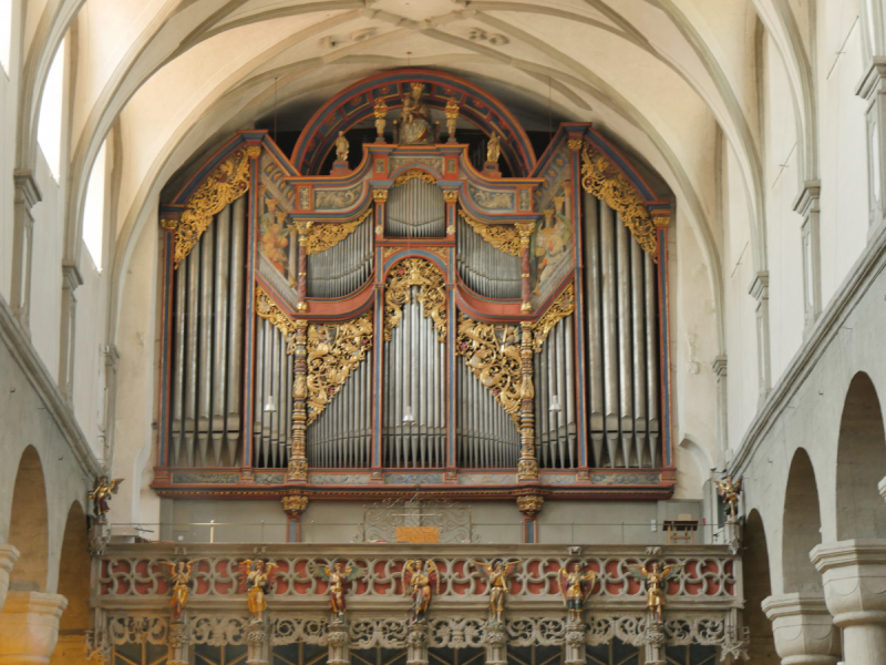 Боденское озеро / Bodensee - лучше сейчас, чем никогда.