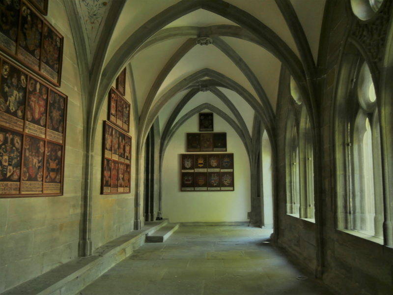 Боденское озеро / Bodensee - лучше сейчас, чем никогда.